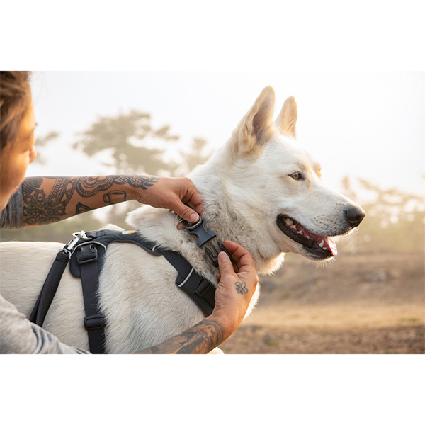 Ruffwear Front Range Dog Harness in Basalt Grey (Small)