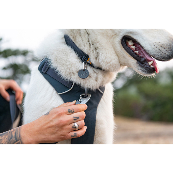 Ruffwear Front Range Dog Harness in Basalt Grey (Small)