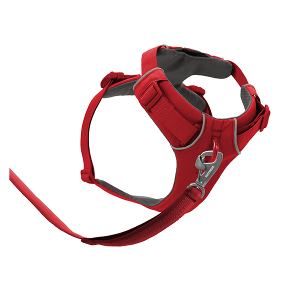 Ruffwear Front Range Dog Harness in Red Canyon (Medium)