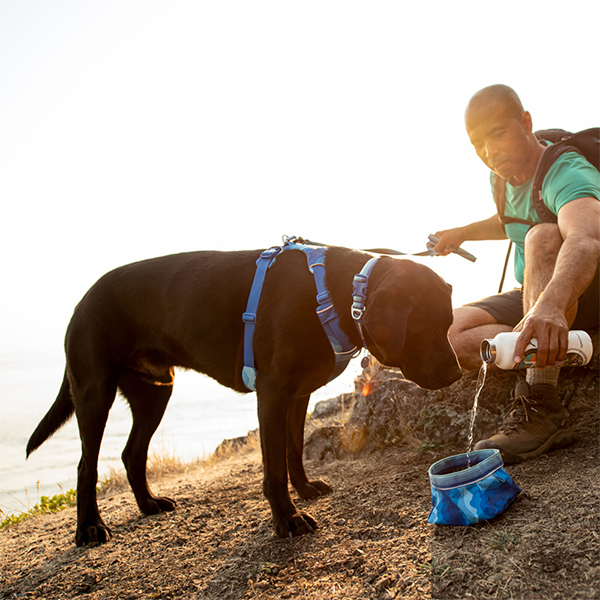 Ruffwear Front Range Dog Harness - Coastal Mountains Print (Small)