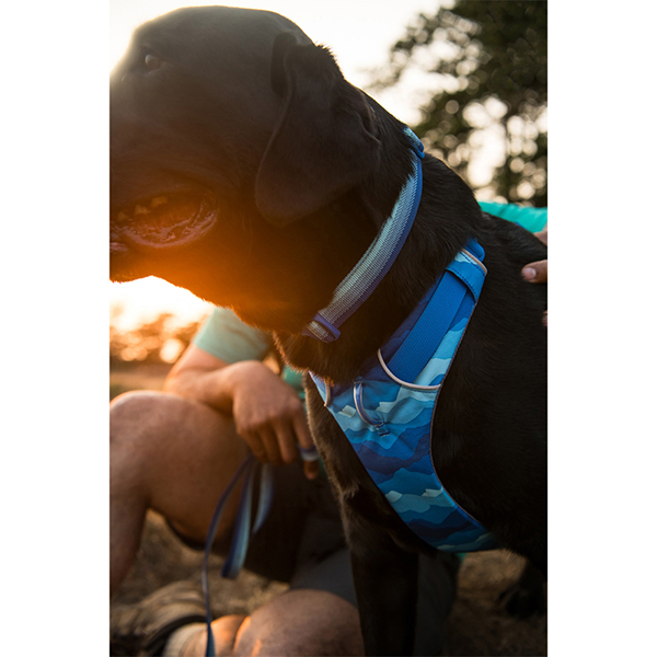 Ruffwear Front Range Dog Harness - Coastal Mountains Print (Small)