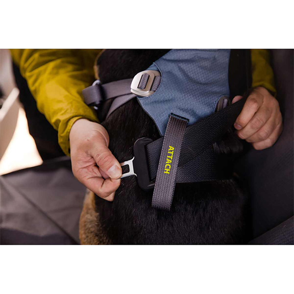Ruffwear Load Up Dog Car Harness in Slate Blue (L / XL)