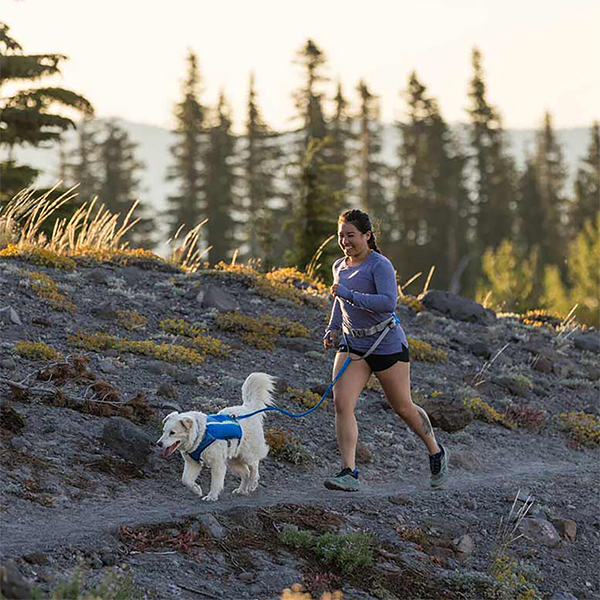 Ruffwear Trail Runner Belt in Blue Pool (L / XL)
