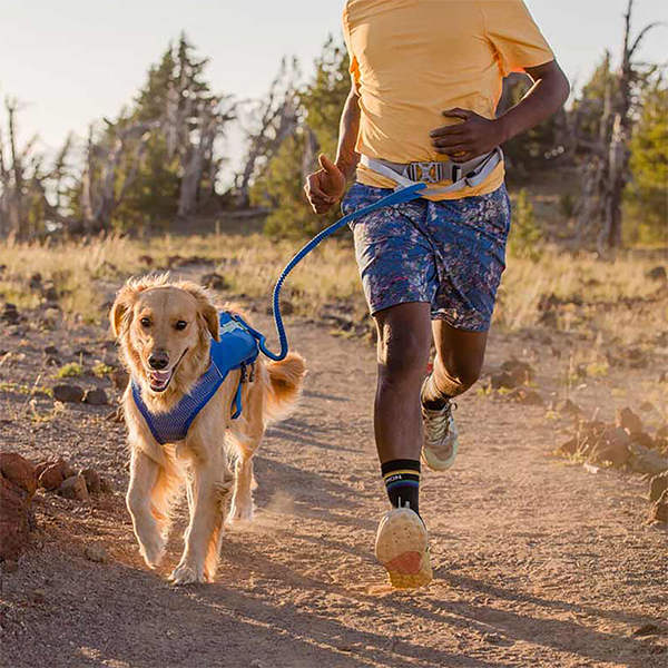 Ruffwear Trail Runner Belt in Blue Pool (L / XL)