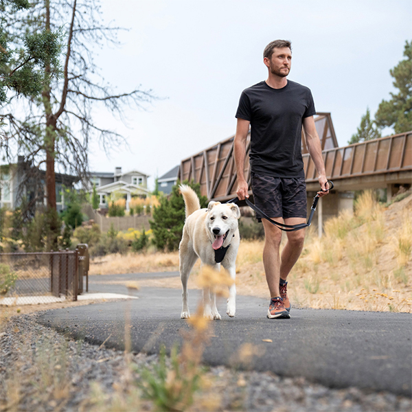 Ruffwear Switchbak Double-Ended Dog Lead in Basalt Grey (One Size)