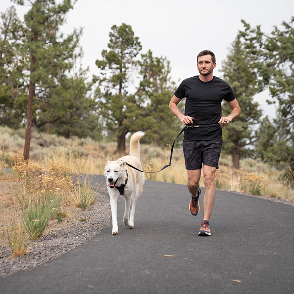 Ruffwear Switchbak Double-Ended Dog Lead in Basalt Grey (One Size)