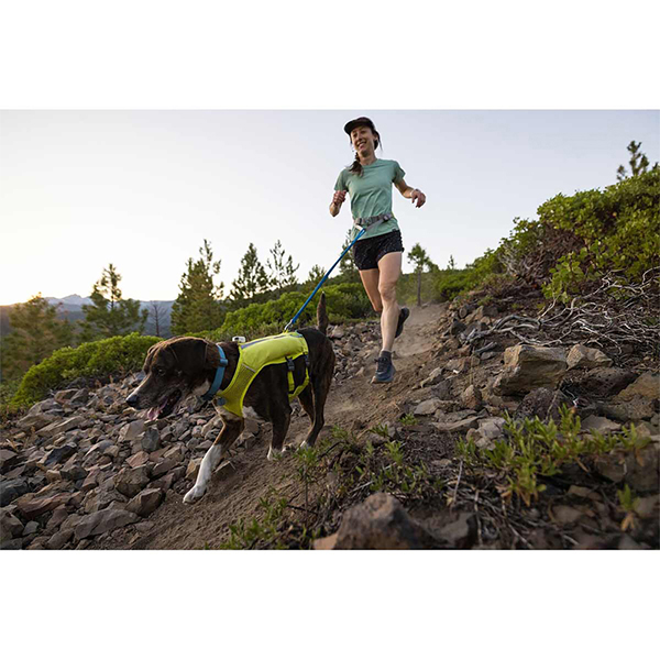 Ruffwear Trail Runner Dog Lead in Blue Pool (1 to 1.8 m)