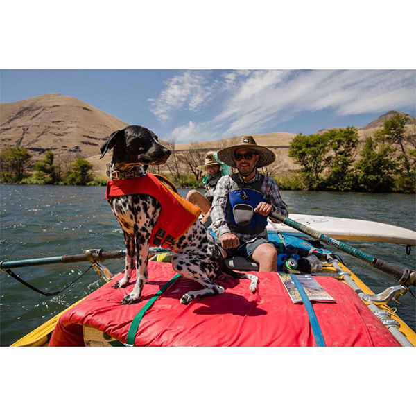 Ruffwear Float Coat Dog Buoyancy Aid in Wave Orange (Small)