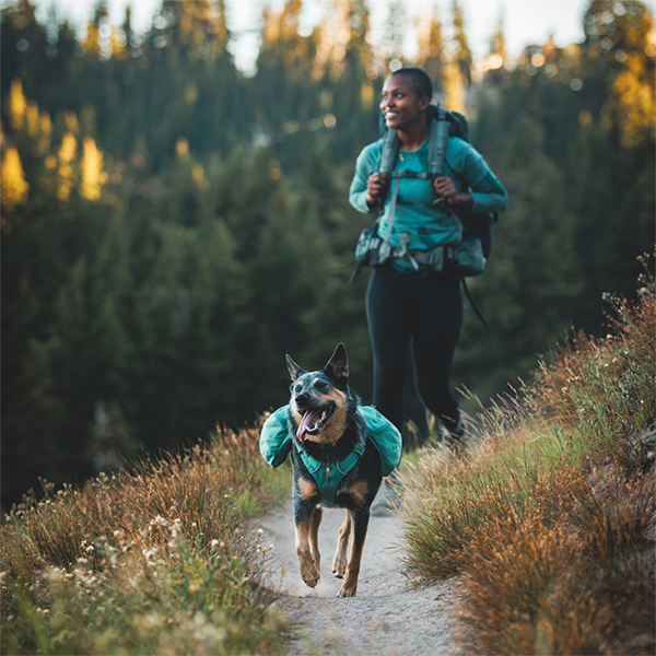 Ruffwear Front Range Dog Day Pack in Basalt Grey (L / XL)