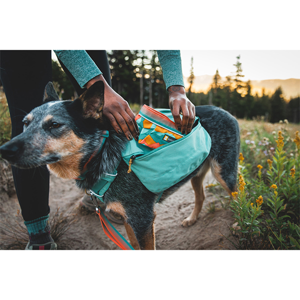 Ruffwear Front Range Dog Day Pack in Basalt Grey (L / XL)