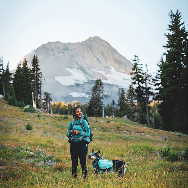 Ruffwear Front Range Dog Day Pack in Basalt Grey (Medium)