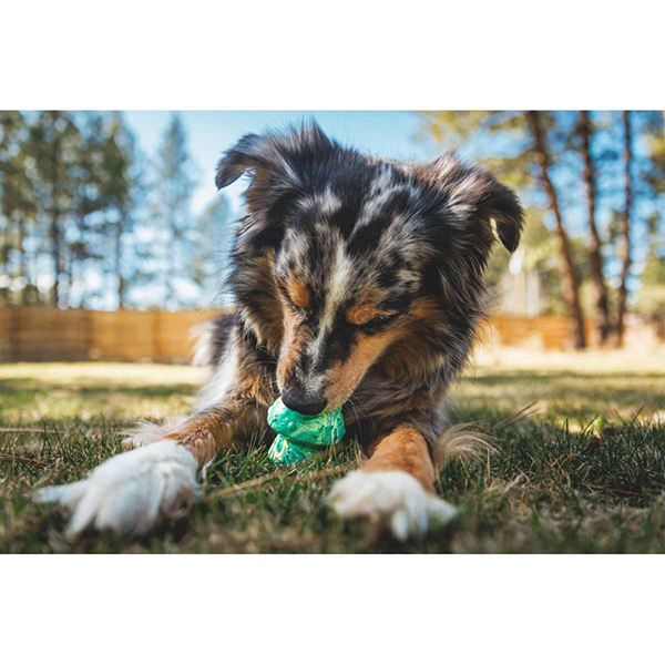 Ruffwear Toadstool Dog Toy in Moss Green (One Size)