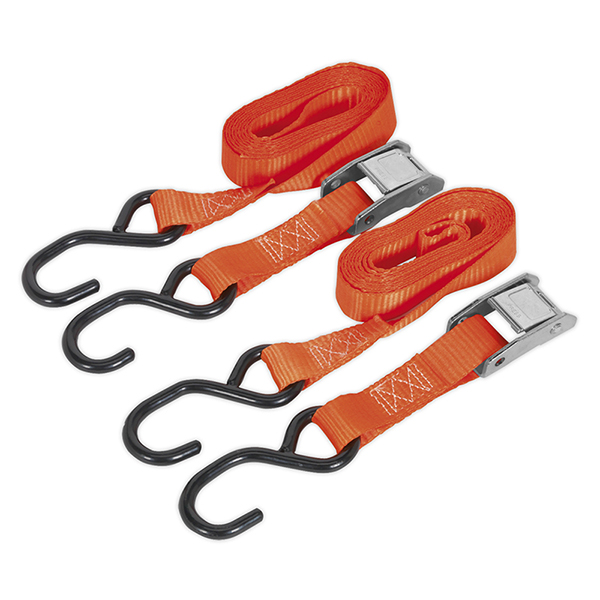 Sealey TD05025CS Cam Buckle Tie Down 25mm x 2.5mtr Polyester Webbing with S Hooks 500kg