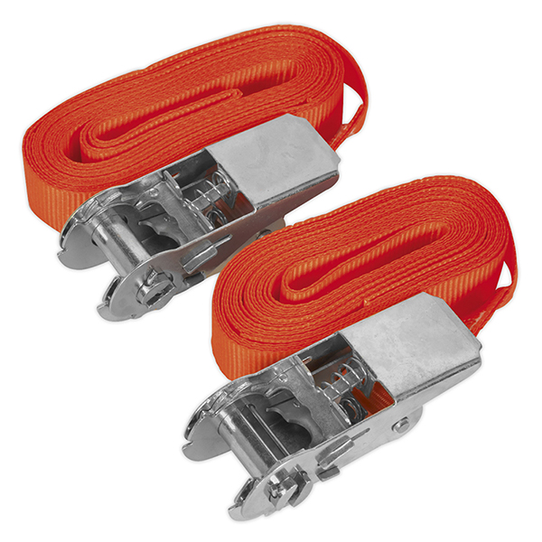 Sealey TD05045E Self-Securing Ratchet Tie Down 25mm x 4.5mtr 500kg Load Test - Pair