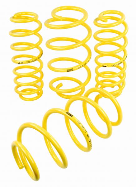 APEX Apex Lowering Kit (55/30mm) Bmw E46 318i-330i 98>