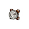 471772950.jpg?v=06.02