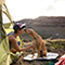 RUF-10501-045M~e.jpg?v=11.03