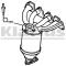 topcat_724720100.jpg